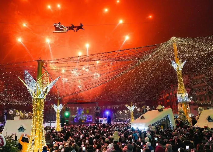 Premium Ultracentral Self Check-in Cafea Ceai Snack 크라이오바